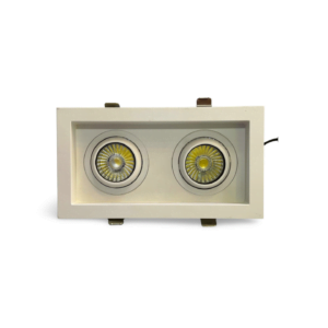 Gimball Downlight