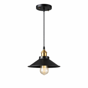 ZL-1925 Retro LED Pendant Light